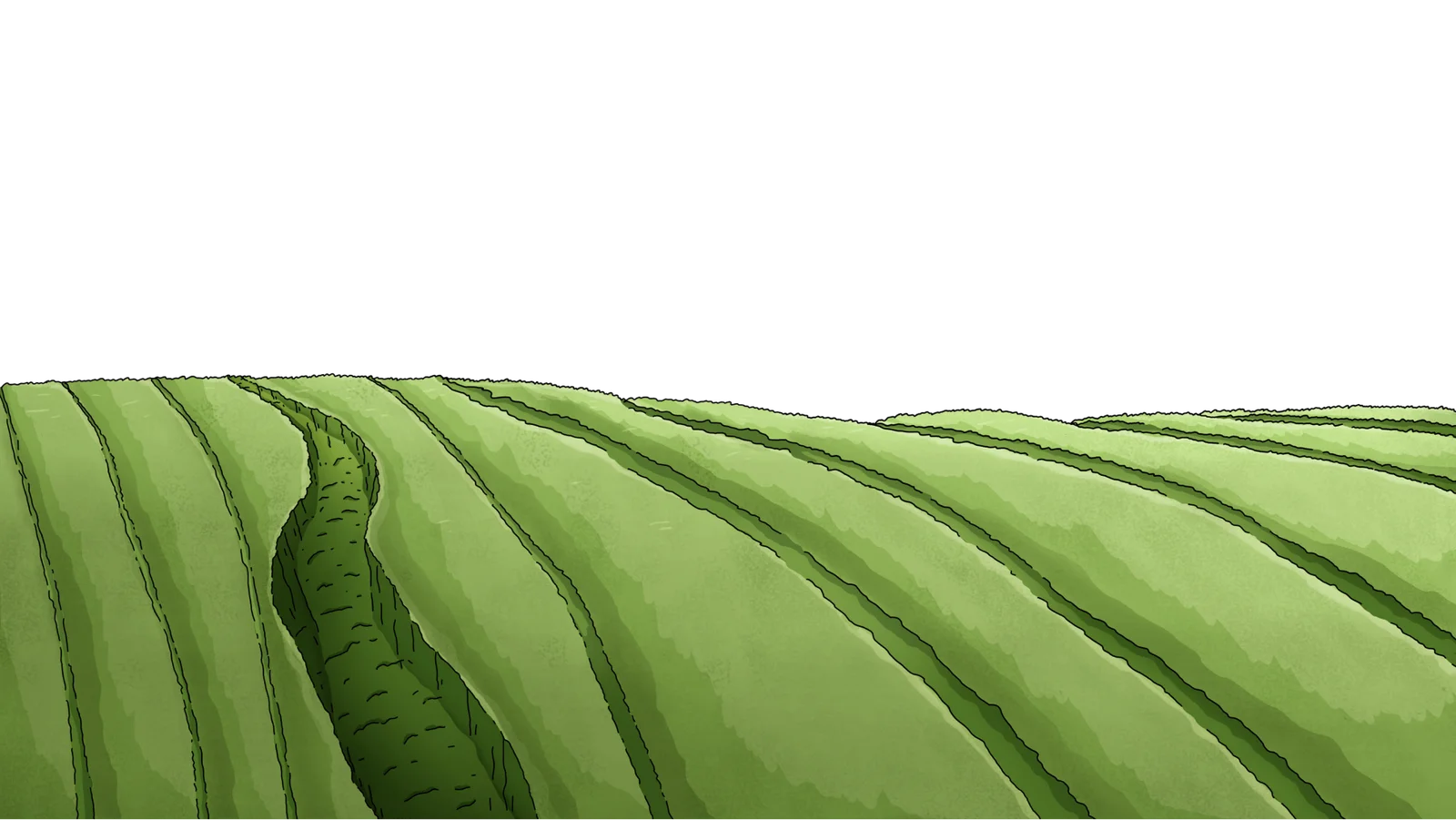 BG