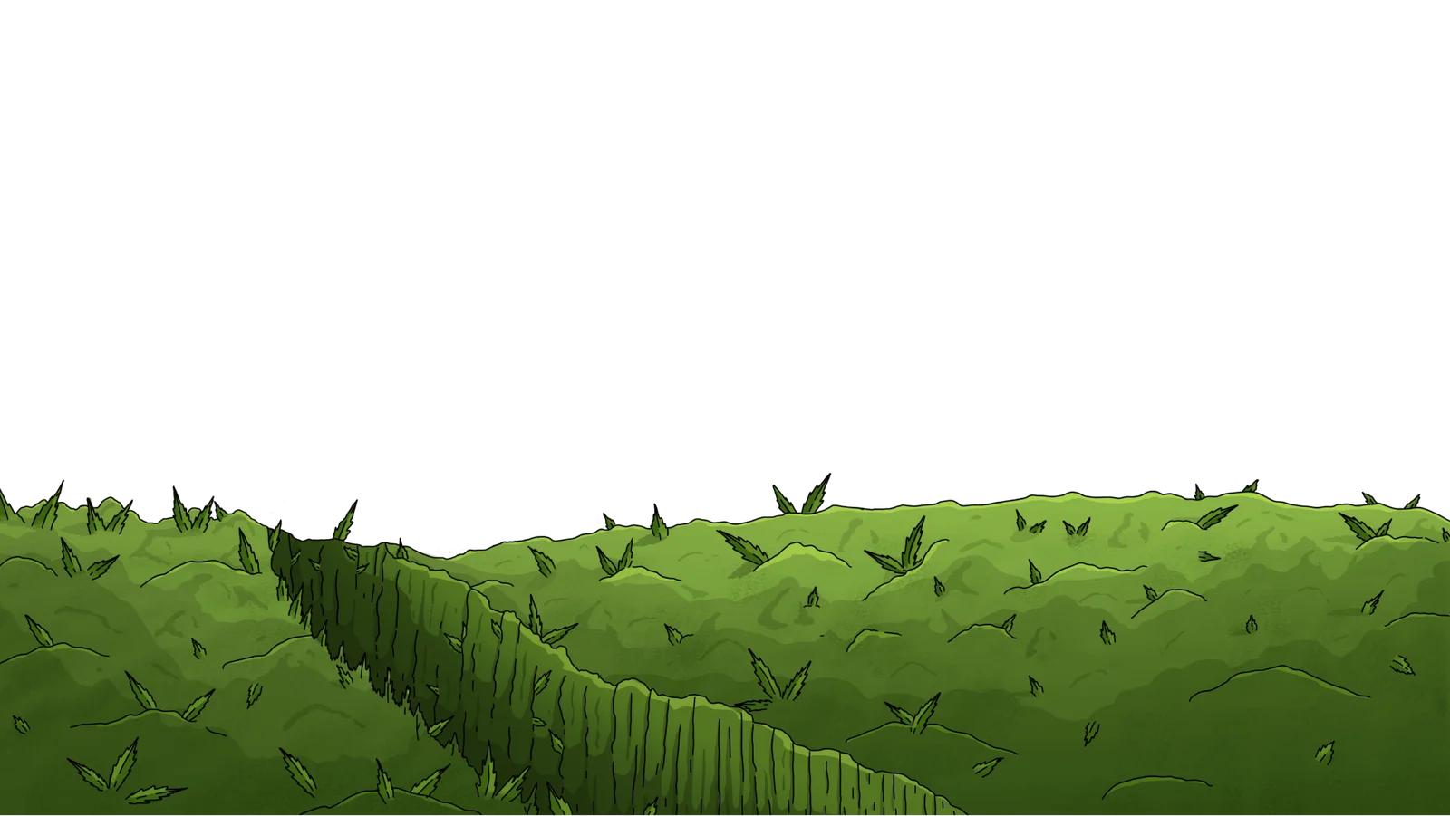 BG